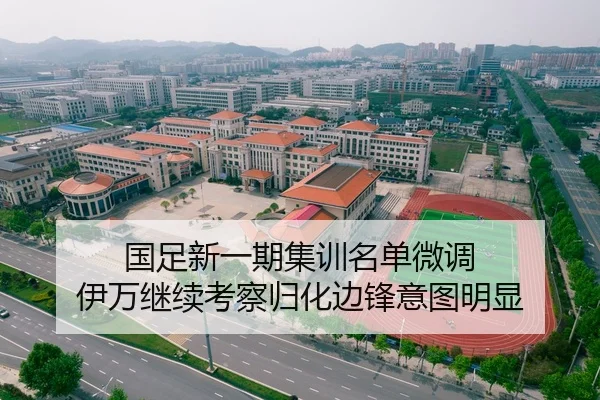 国足新一期集训名单微调 伊万继续考察归化边锋意图明显